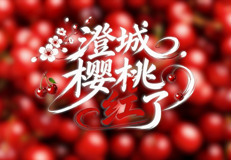【鲜味中国·夏溢】澄城樱桃红了_fororder_微信图片_20260602144235