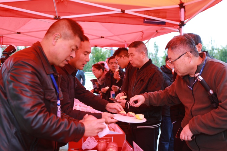 走读“四圣故里”白水:以脚步丈量文化脉络 以视野洞察产业新生_fororder_WechatIMG3041