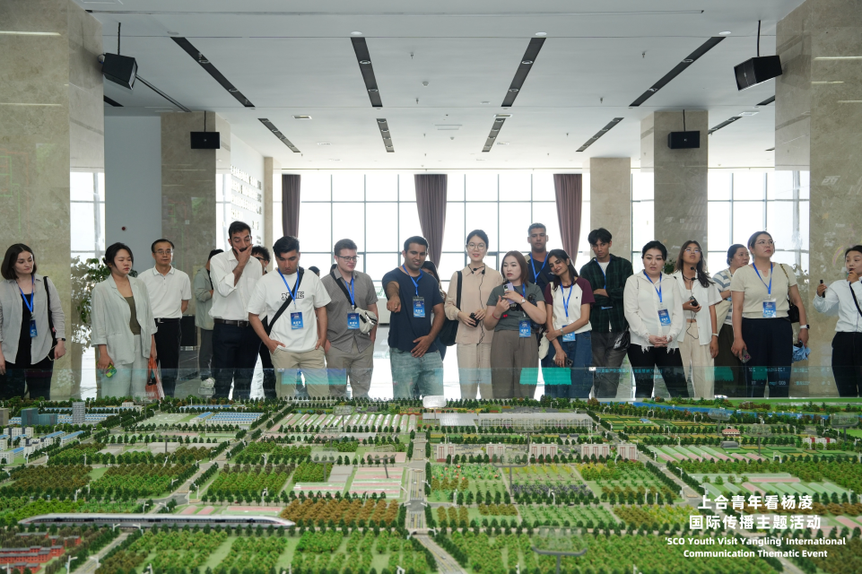 云端种菜改写农业未来 上合青年探秘杨凌农业“智慧大脑”_fororder_图片1
