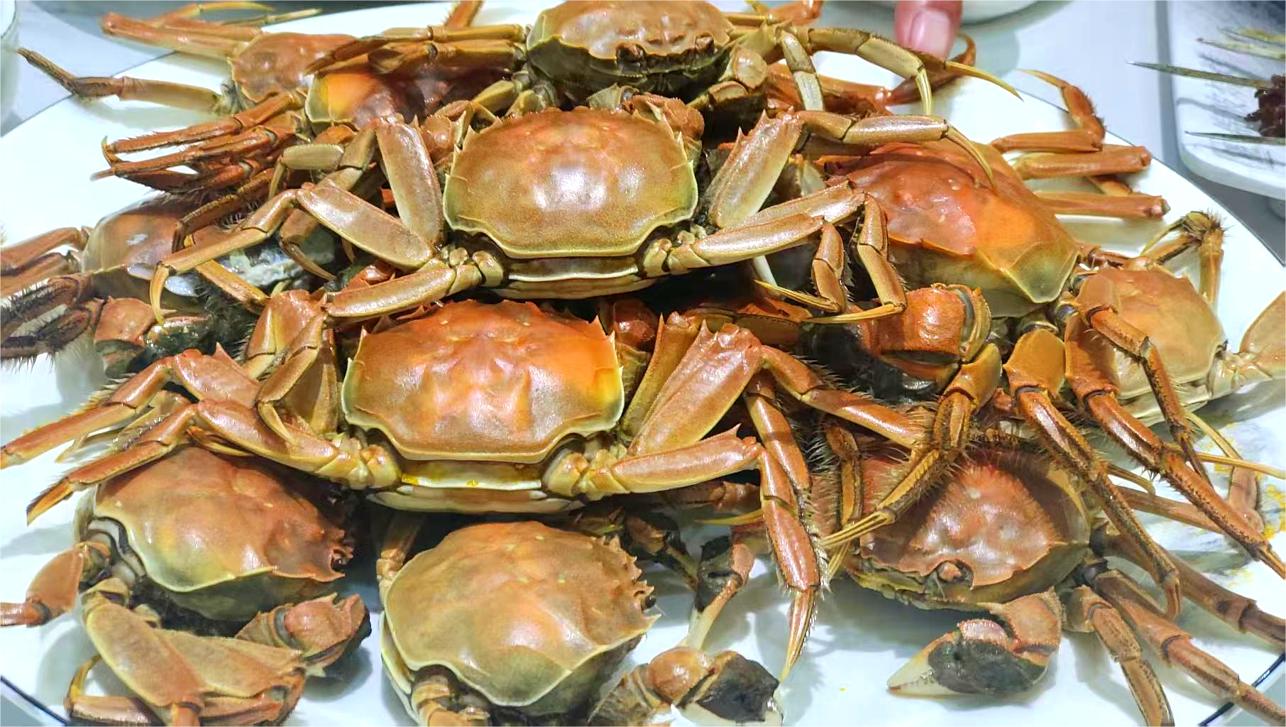 【“县”声夺人】榆林横山：丰收好图景_fororder_图片2