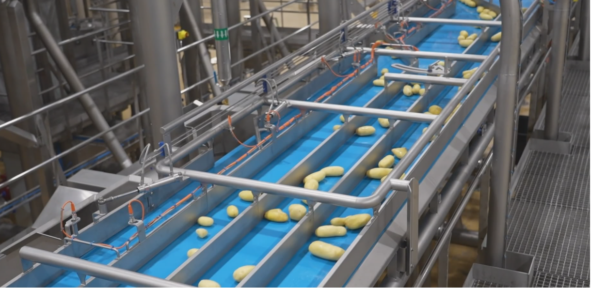 榆林榆阳:延长产业链 深挖“薯”潜力