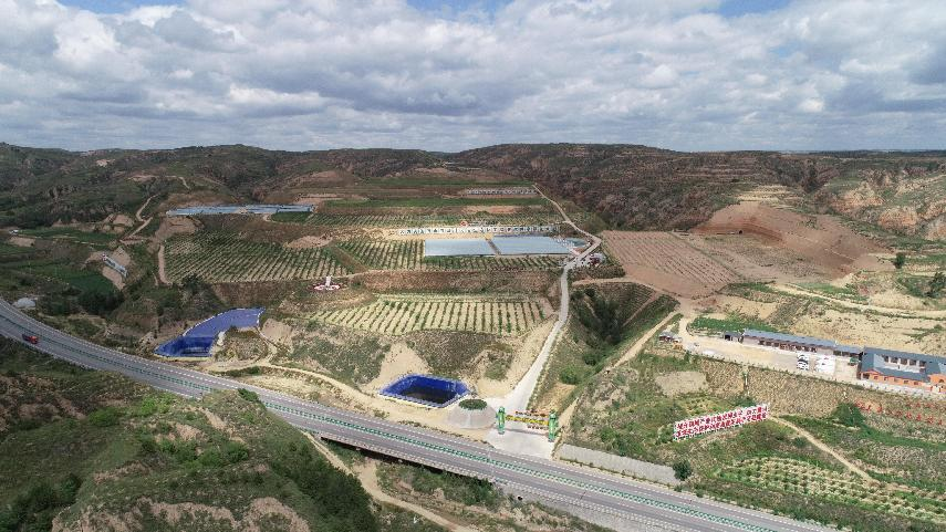 榆林府谷西尧沟村:煤海重生万亩绿 生态修复富村民