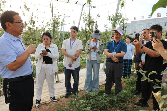 走出杨凌看示范｜洛川苹果试验站以创新为引打造增收致富“金果子”_fororder_图片3