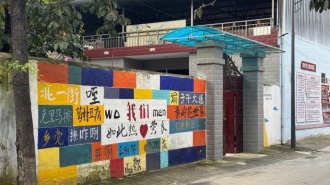 从城市到乡村：探索青年就业新选择