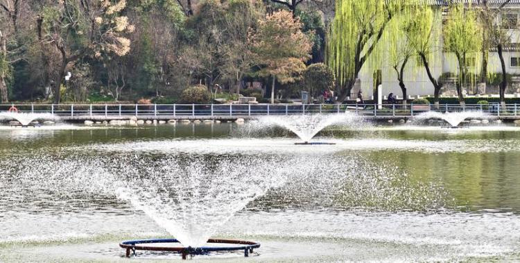 莲湖公园 春意盎然_fororder_微信图片_20260317092611_1417_356