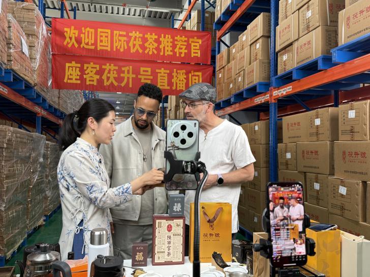 以茶会友 “茯”到万家 外籍专家在茯茶镇“品味”中国茶文化_fororder_wps_doc_2