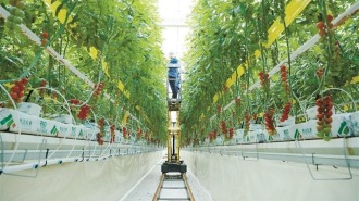 走进杨凌秦农智慧农业科技产业园——看一座“科技工厂”为丰收“编程”