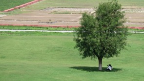 遗址公园秋景如画