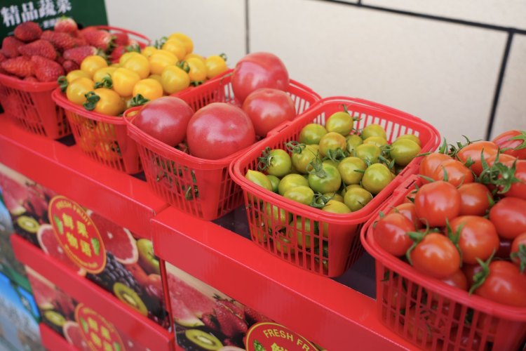 新春走基层 | 佳县朱官寨镇：让产业之花在黄土高原绽放