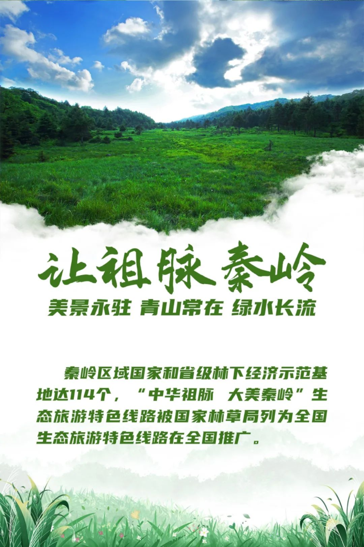 陕西：当好秦岭生态卫士 绘就“绿水青山”新画卷_fororder_图片4