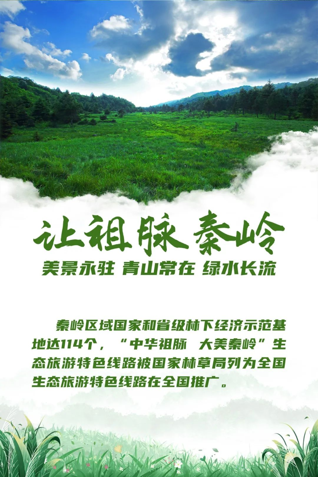 陕西：当好秦岭生态卫士 绘就“绿水青山”新画卷_fororder_图片4