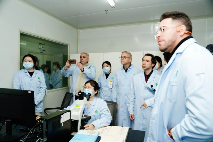 在西安看中国：外籍专家读懂“陆空联动 古今交融”开放新叙事_fororder_wps_doc_1