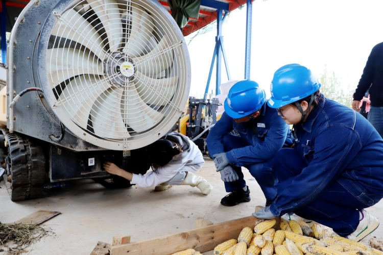 国网渭南供电公司：电力助农“抢收战” 细致入微添保障_fororder_图片6