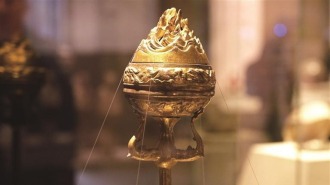 陕历博里触摸“草木芳华”