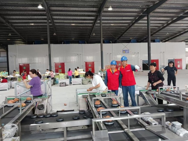 陕西洋县草坝村：黄金梨带动生态与经济双赢_fororder_图片1