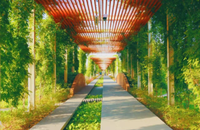 Spring in Yanta: Blossoms at Every Turn