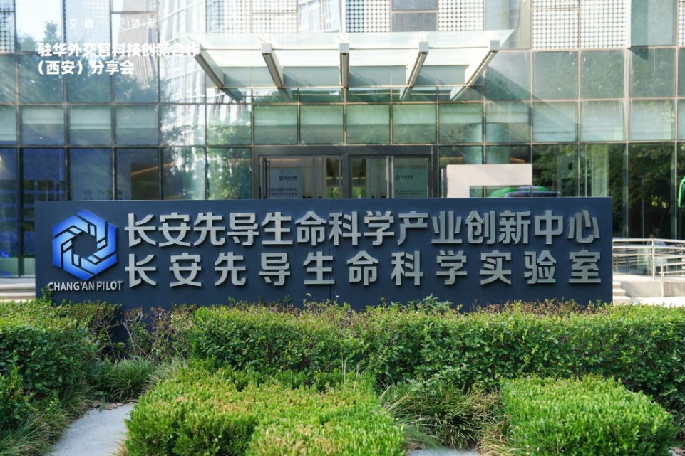 创新之桥跨越山海 科技外交再谱华章 共绘“一带一路”科技合作新图景_fororder_图片6