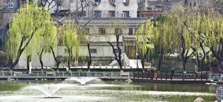 莲湖公园 春意盎然_fororder_微信图片_20260317092606_1416_356