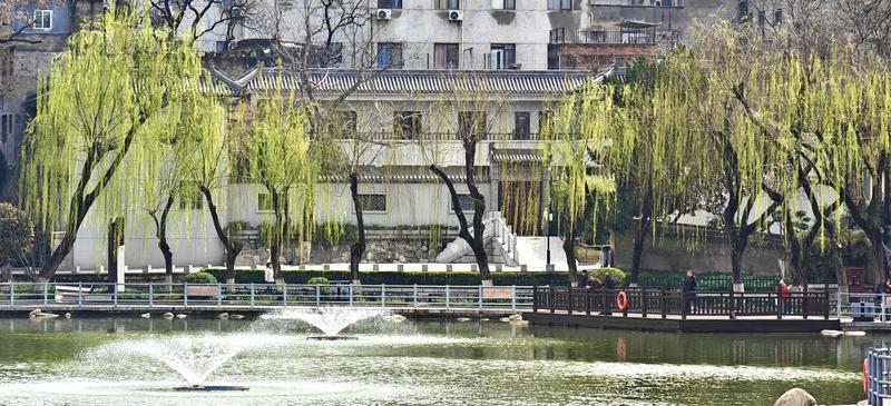 莲湖公园 春意盎然_fororder_微信图片_20260317092606_1416_356