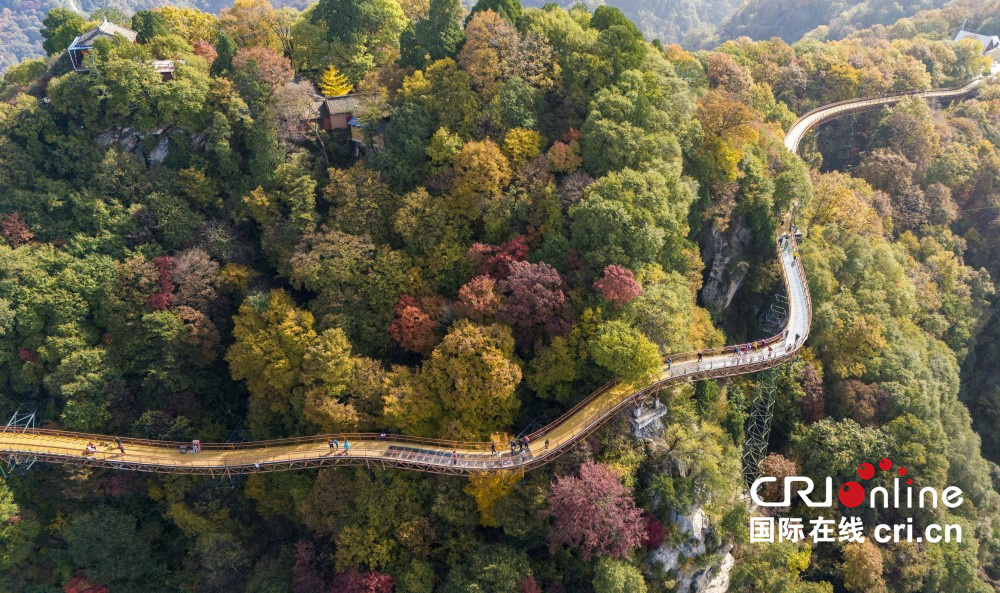 【至“陕”至美】少华秋色“醉”游人_fororder_图片6