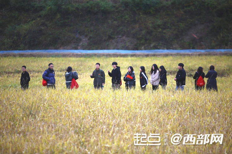 追寻红色足迹 五里桥田园综合体绘就乡村振兴新图景