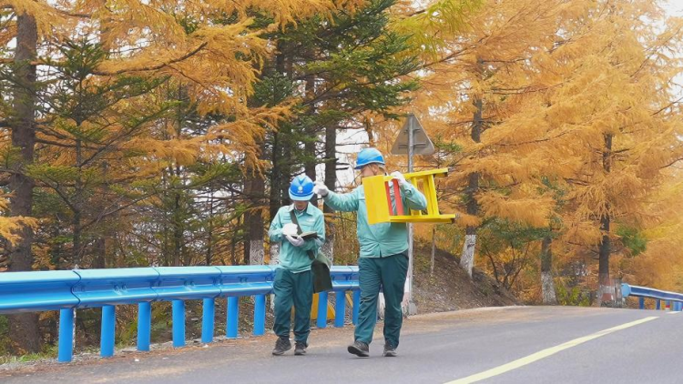 国网平利县供电公司：以电力防线筑牢生态屏障_fororder_图片2