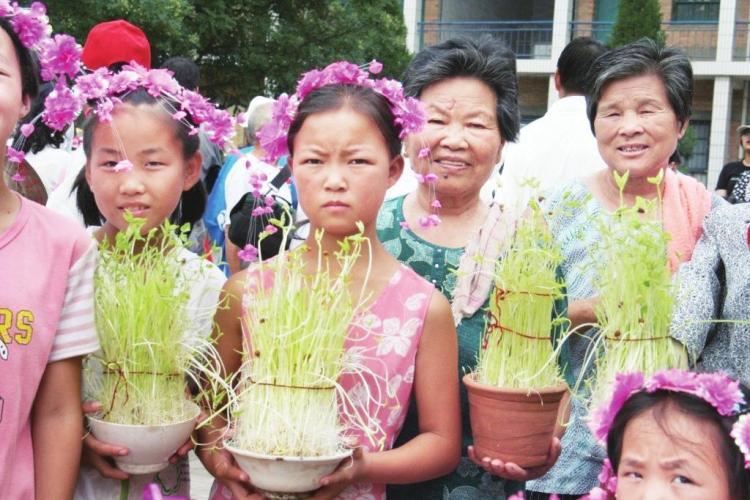 大荔乞巧节：让传统文化焕发新活力_fororder_微信图片_20250825085627_227_356