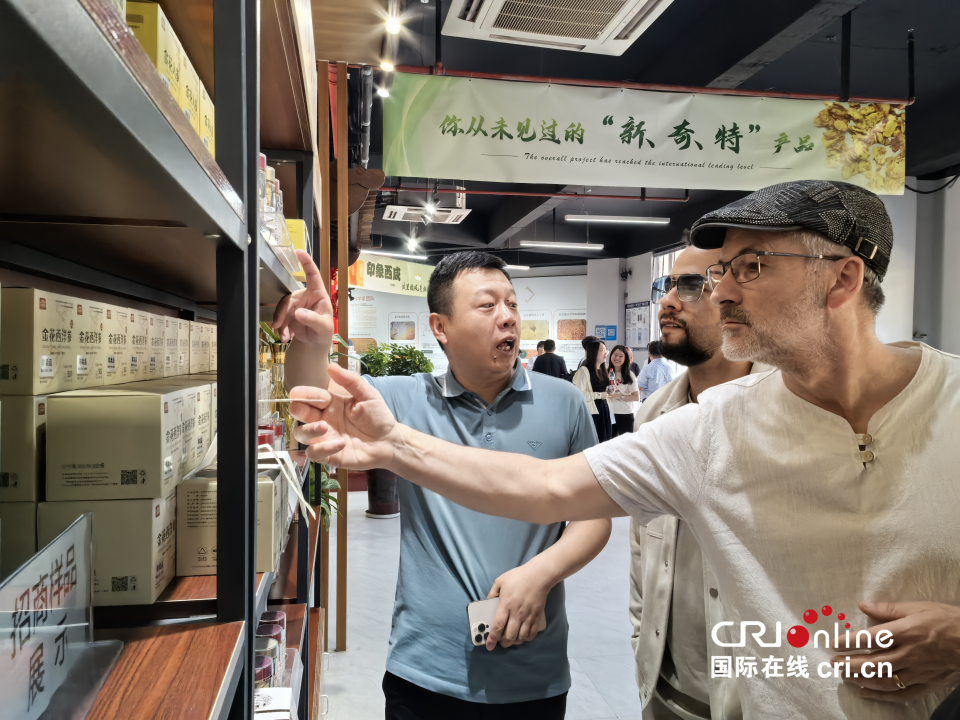 【在西安 看中国 外籍专家西安调研行㊵】文明的交响：十国专家解码西安古今对话的“世界启示”_fororder_图片61_副本