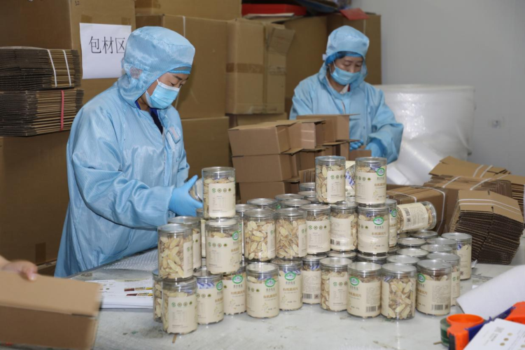 走出杨凌看示范｜科技赋能+展会经济双引擎 激发药食同源发展新动能_fororder_11