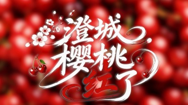【鲜味中国·夏溢】澄城樱桃红了