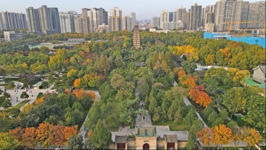 秋日小雁塔风景美