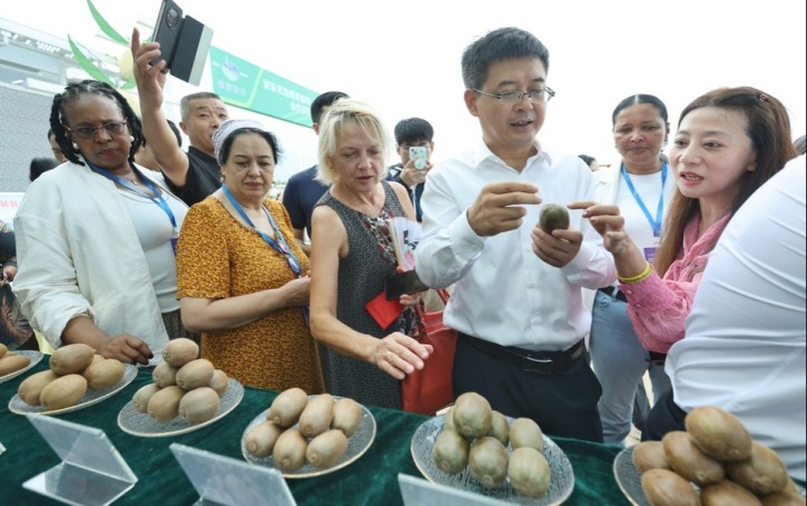 见证推进中国式现代化的西安力量 2024驻华大使夫人西安行活动精彩集锦_fororder_微信图片_20251014162219_590_356