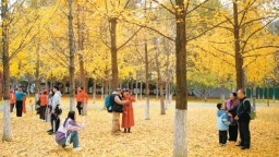 这就是文化传承最美妙的方式