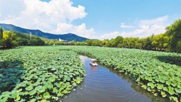从好风景到好“钱”景——商洛深入探索生态产品价值实现机制