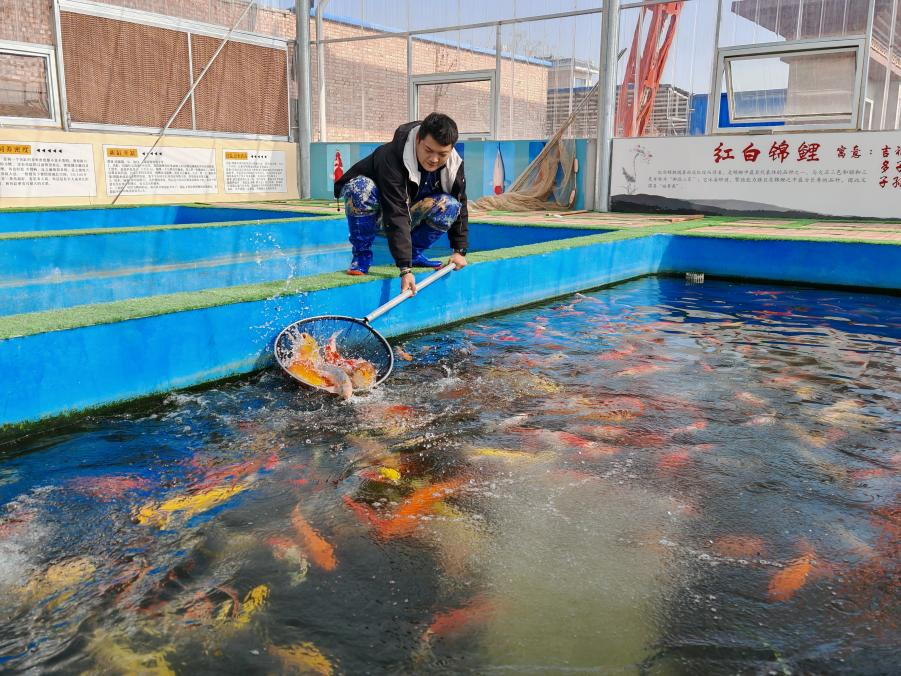 新春走基层丨所长的一天:电靓新春 满电出发