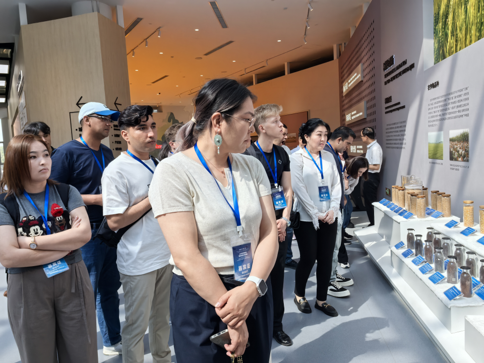 上合青年看杨凌活动启动 首站看上合组织农业基地硕果盈枝_fororder_图片2
