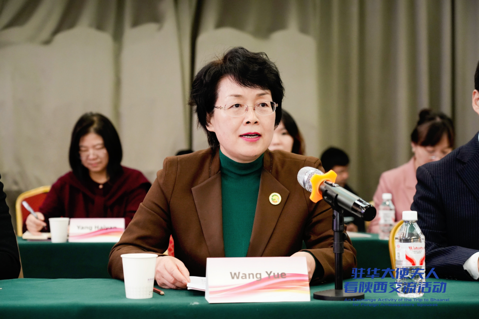 从长安到世界：妇女事业交流的“陕西实践”与全球启示_fororder_图片4