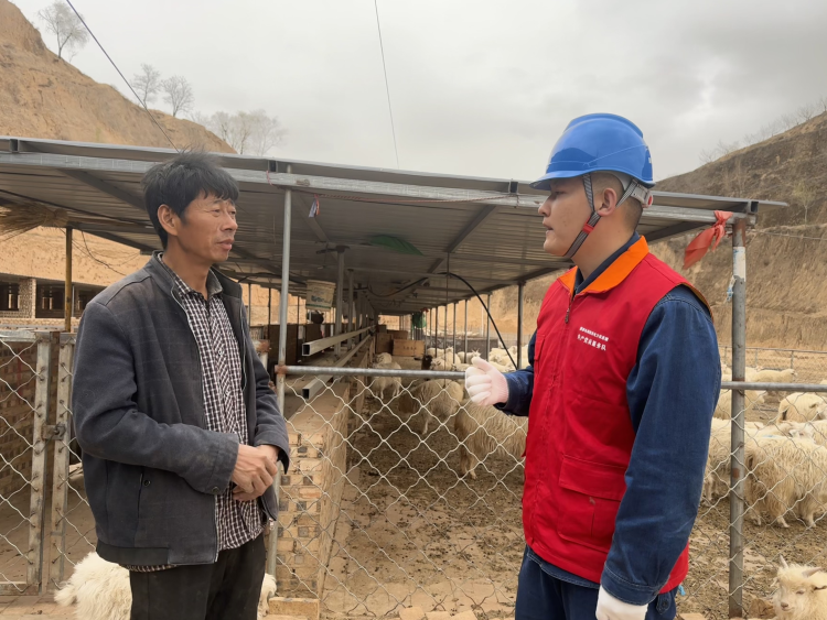 国网榆林供电公司：“电保姆”护航“羊”光致富路 助力乡村振兴“羊”帆起航_fororder_图片2