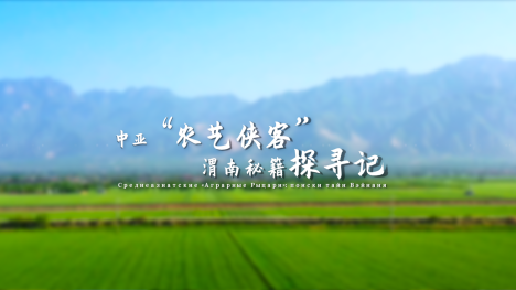【外眼看陕西•我在中国学农技④】中亚“农艺侠客”渭南秘籍探寻记_fororder_微信图片_20250512153848