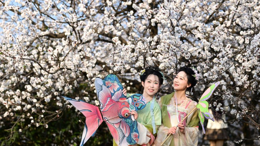 长安春日繁花开