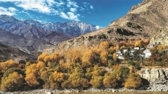 在“世界屋脊”守护生命健康