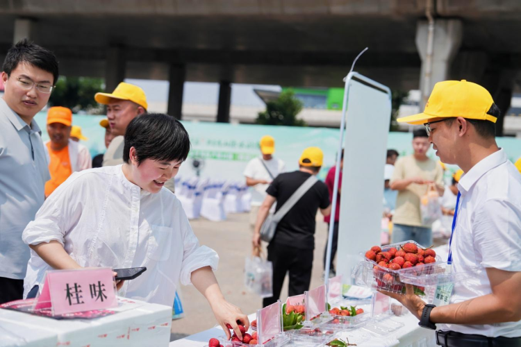 从岭南到长安：玉林荔枝“牵手”西安市场 搭建两地农业合作新桥梁_fororder_4·7