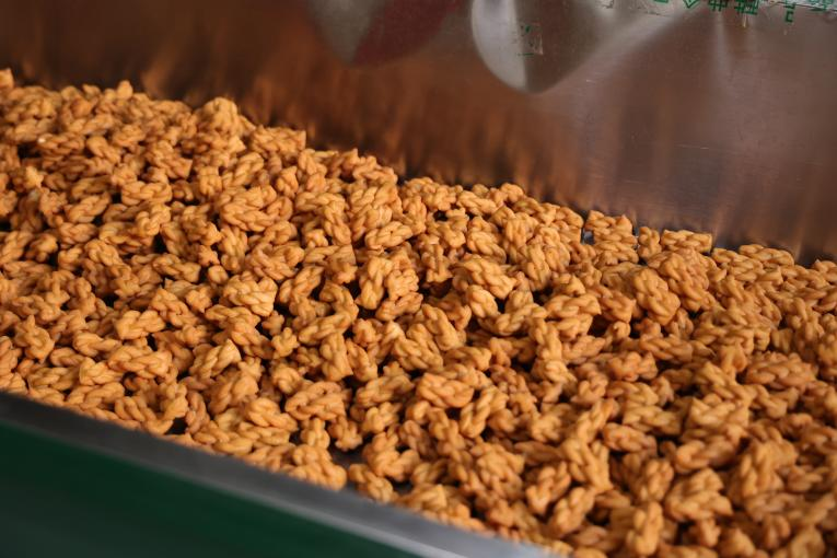 新春走基层丨所长的一天:电靓新春 满电出发