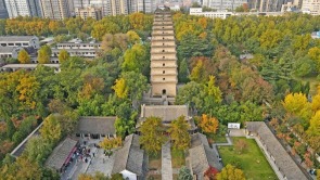 秋日小雁塔风景美