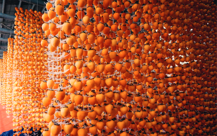 Уезд Фупин города Вэйнань: самое время для осеннего урожая красной хурмы на желтой земле