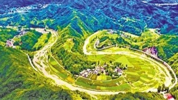 商南高山蔬菜走俏大湾区