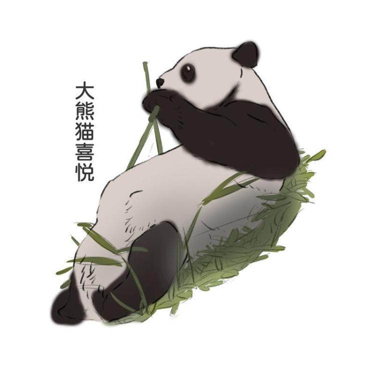 世间最动人的相遇 秦岭深处邂逅野生大熊猫