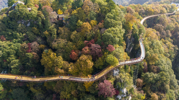 사오화의 가을빛에 취하다