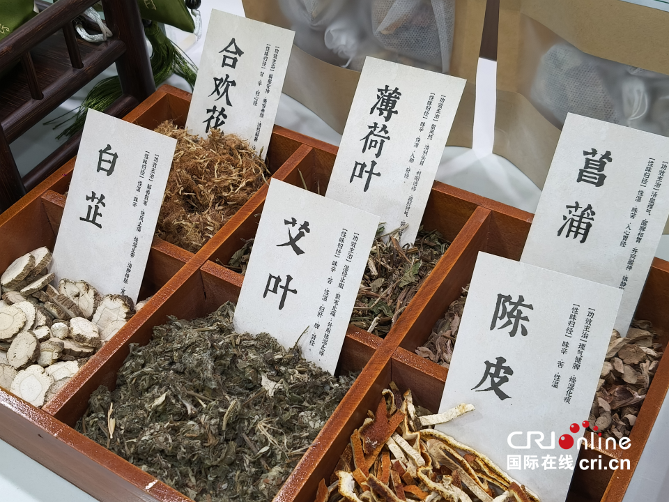 【外籍专家西安行 ⑯】“望闻问切”解码东方智慧  十国外籍专家雁塔共探中医魅力_fororder_图片2_副本