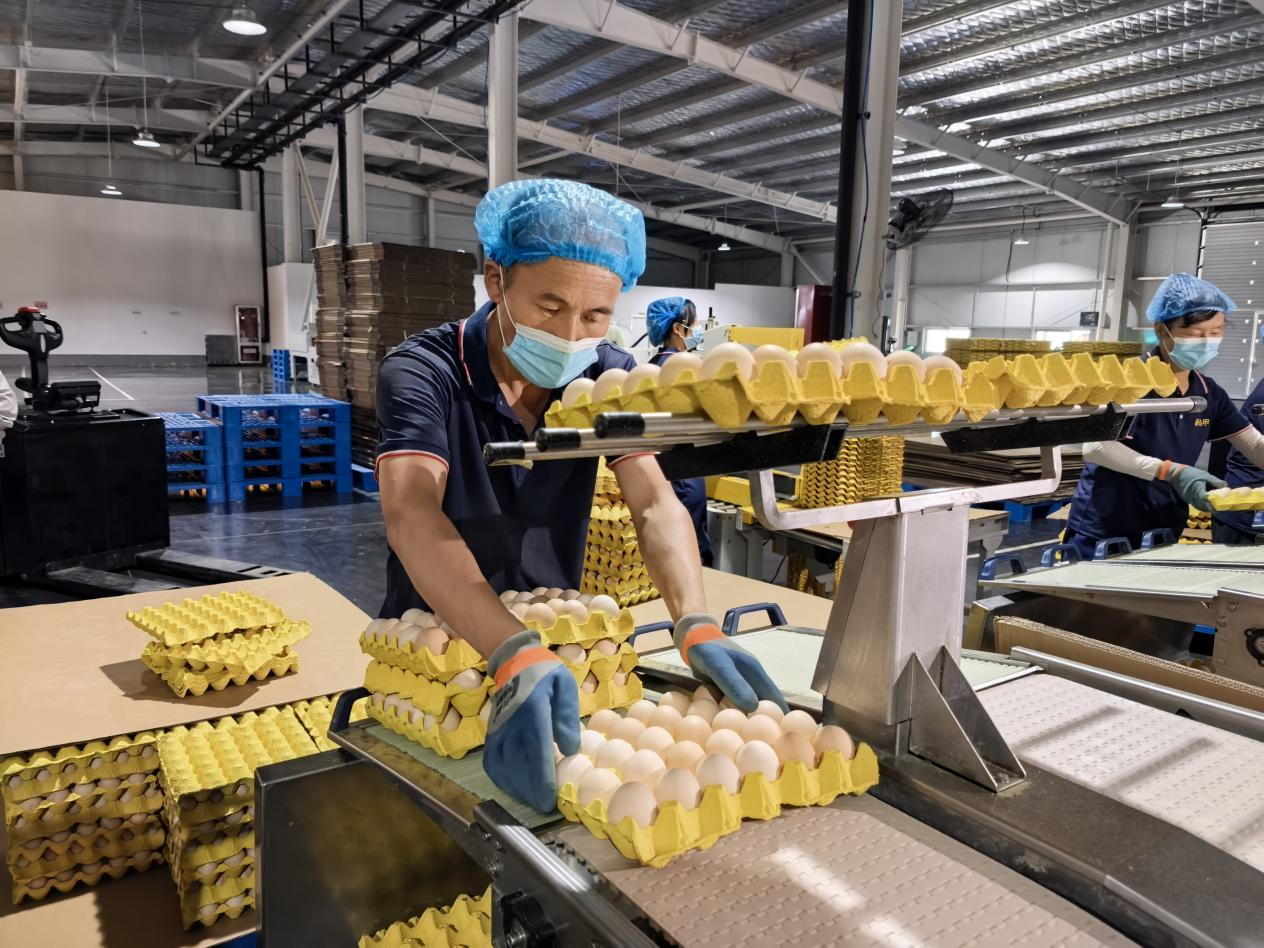 电力赋能：国网咸阳供电公司全力 护航“超蛋公园”_fororder_图片3